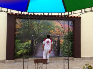 Fotomurales_en_Vinilo–(1)