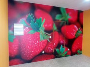 Fotomurales_en_Vinilo–(39)