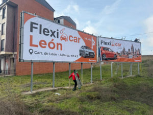 Flexicar